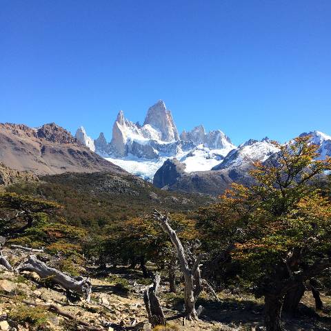 Cerro Fitz Roy