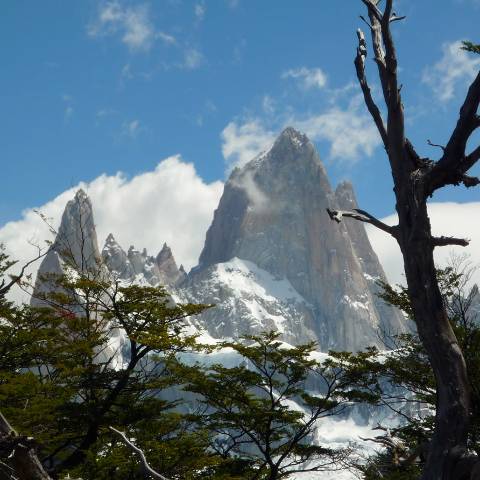 Co. Fitz Roy