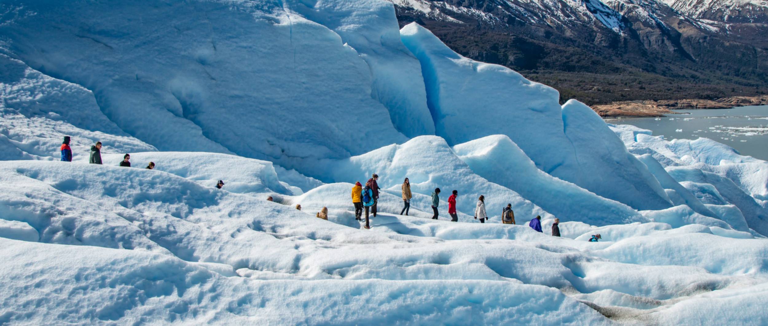 Koon Calafate Agencia de viajes y turismo