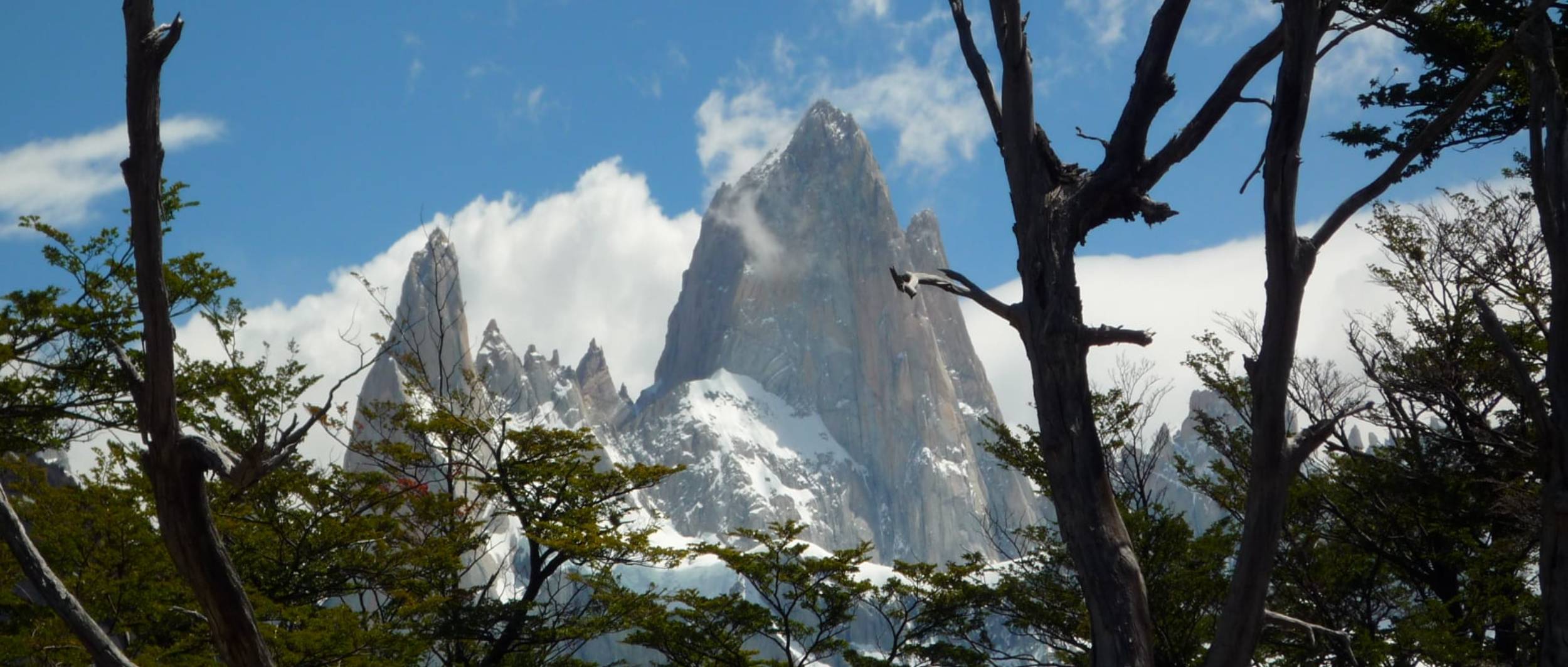 Koon Calafate Agencia de viajes y turismo